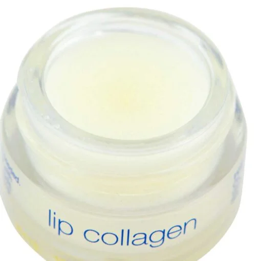 lip collagen inside